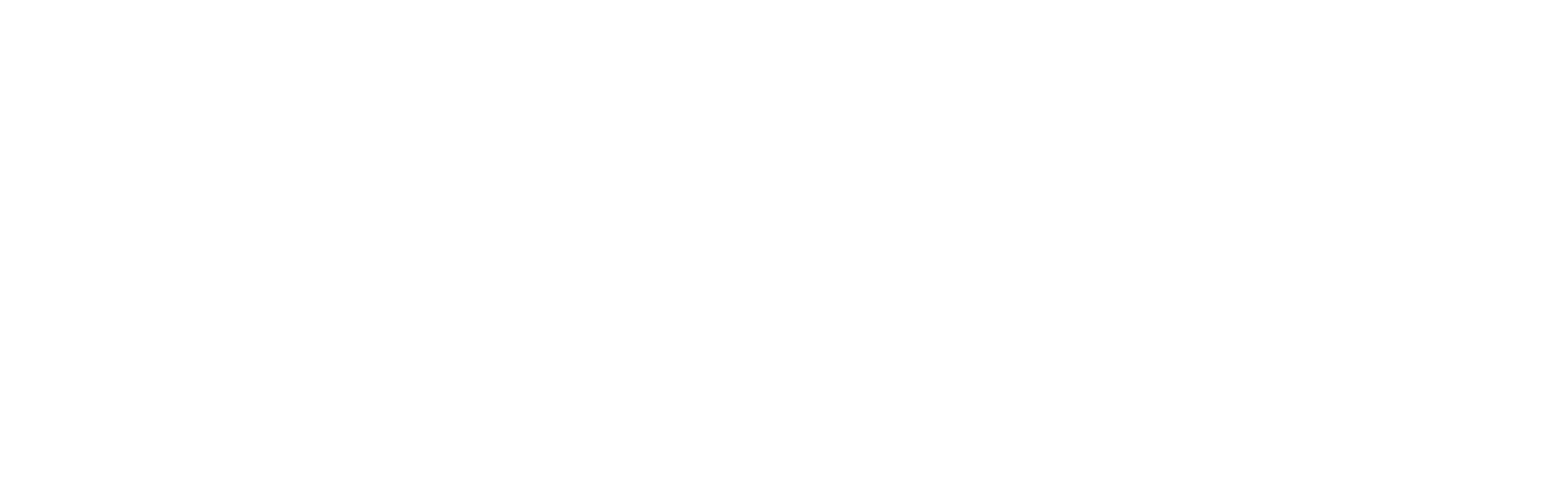 dark logo
